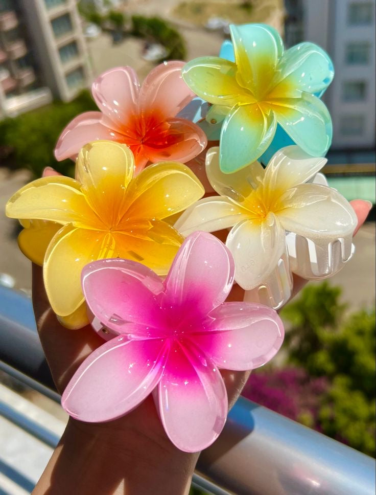 Hawaiian hair clip