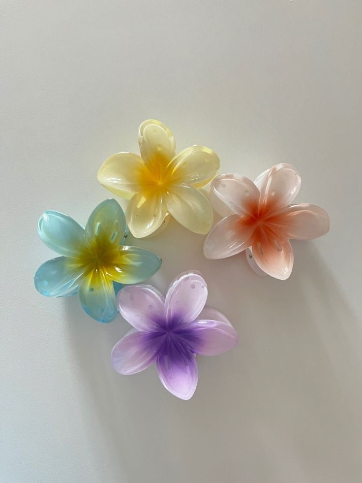 Hawaiian hair clip