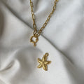 Starfish